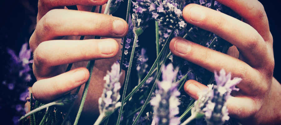 Use sight, sound or touch to shine in life