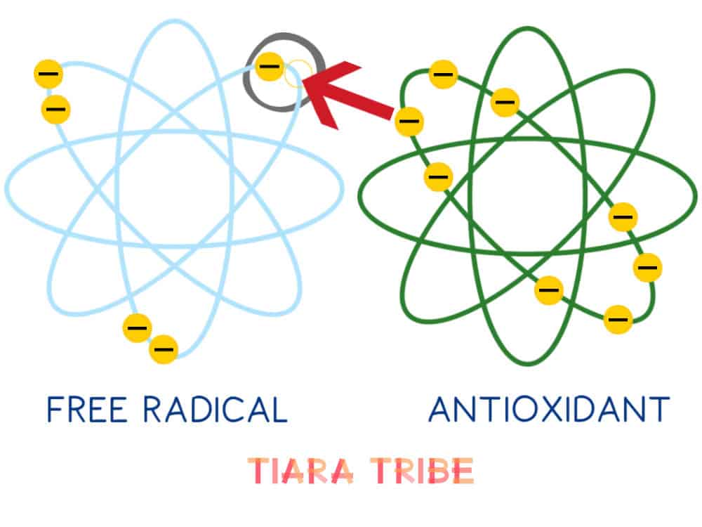 Antioxidant giving electron to free radical 2