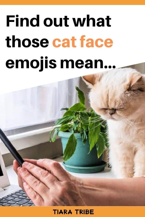 Cat face emojis Meanings, text, kissing, Crying & More