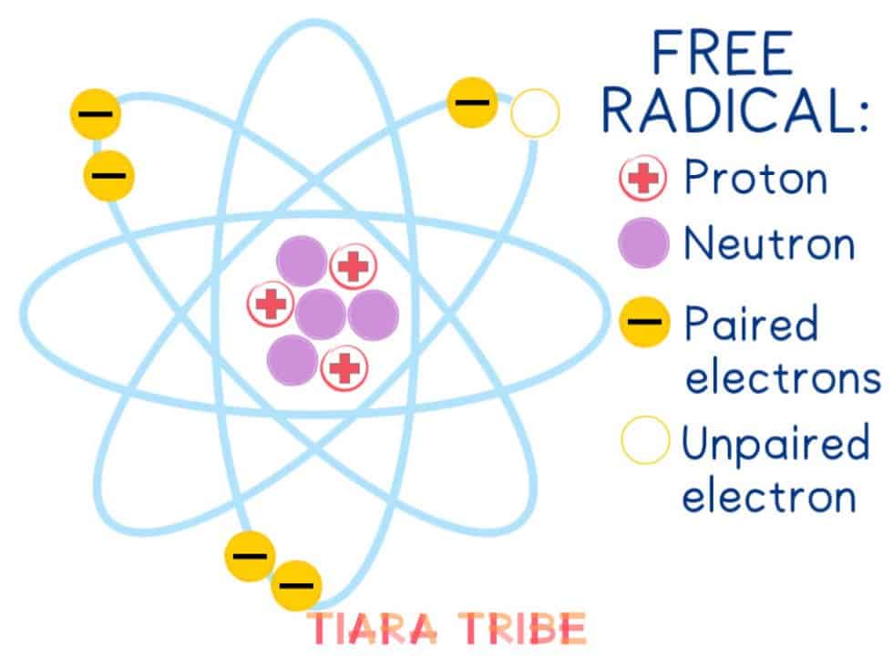 Every Girl's Guide To Free Radicals & Antioxidants