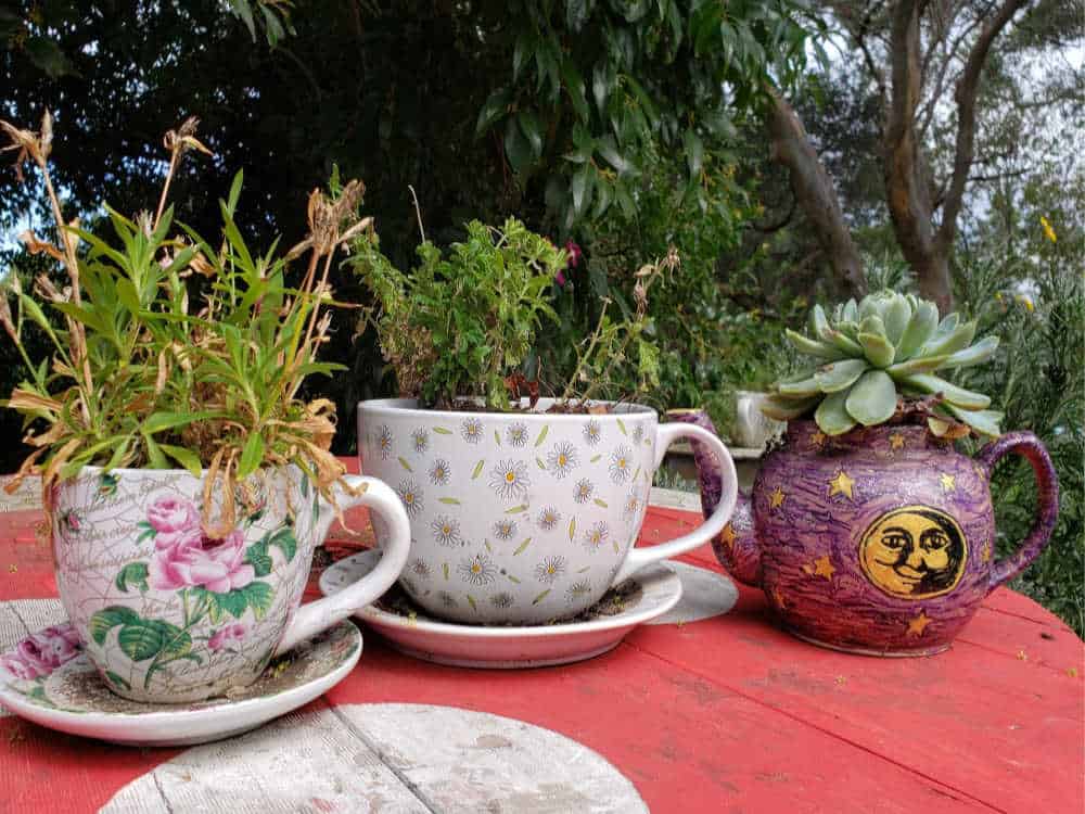 Upcycle garden ideas from the Botanical Gardens